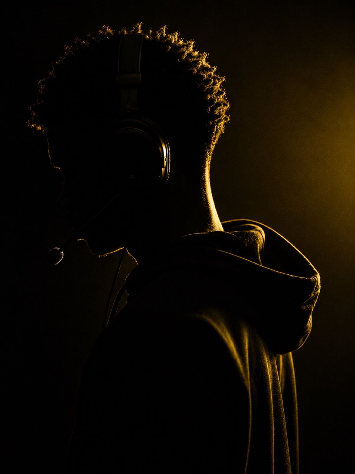 Joueur TheKing (visuel stylisé)